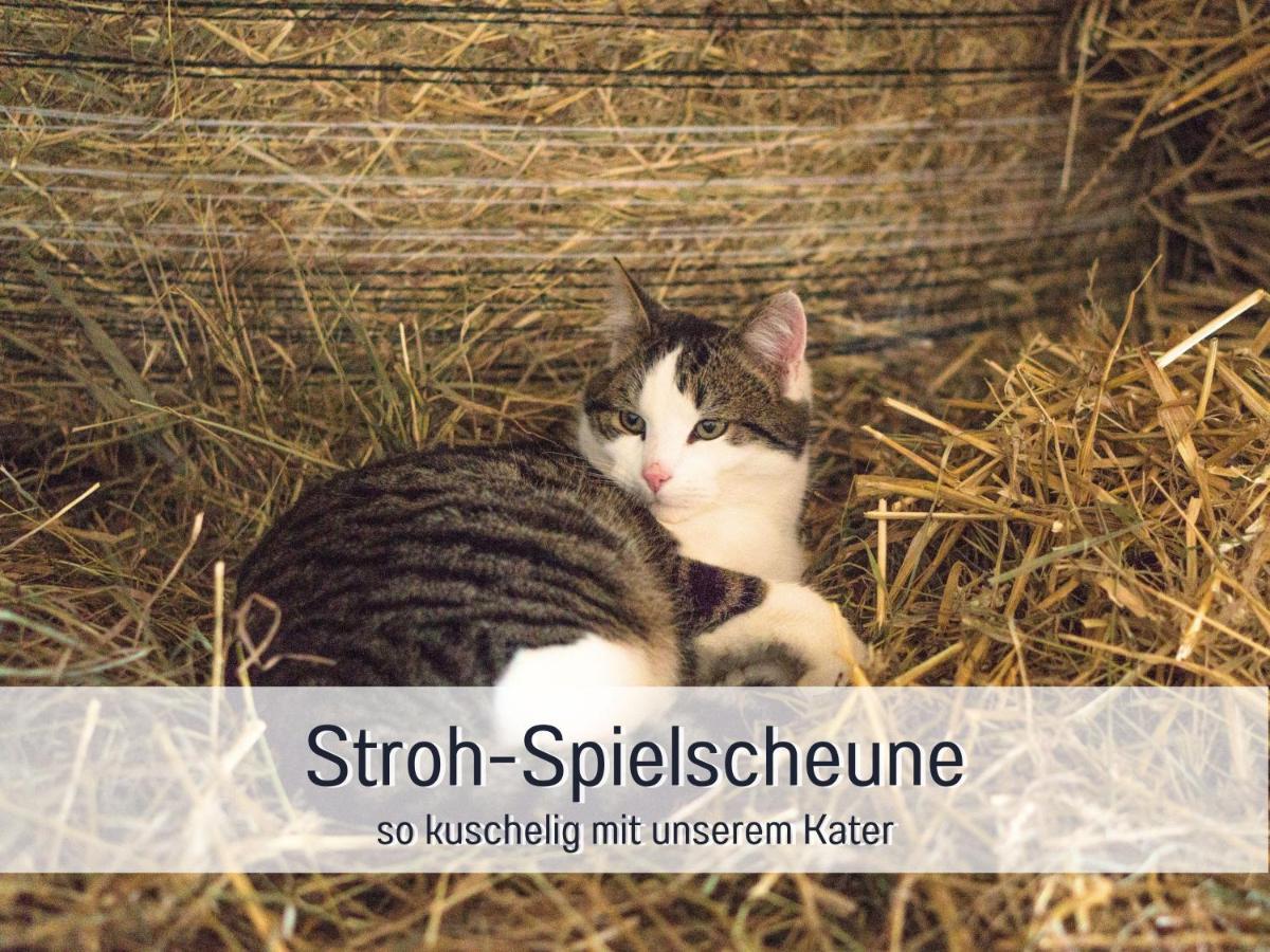 Bio Ferienhof Wichtelweide - Ferienhaus Lichtblick Fehmarn Zewnętrze zdjęcie