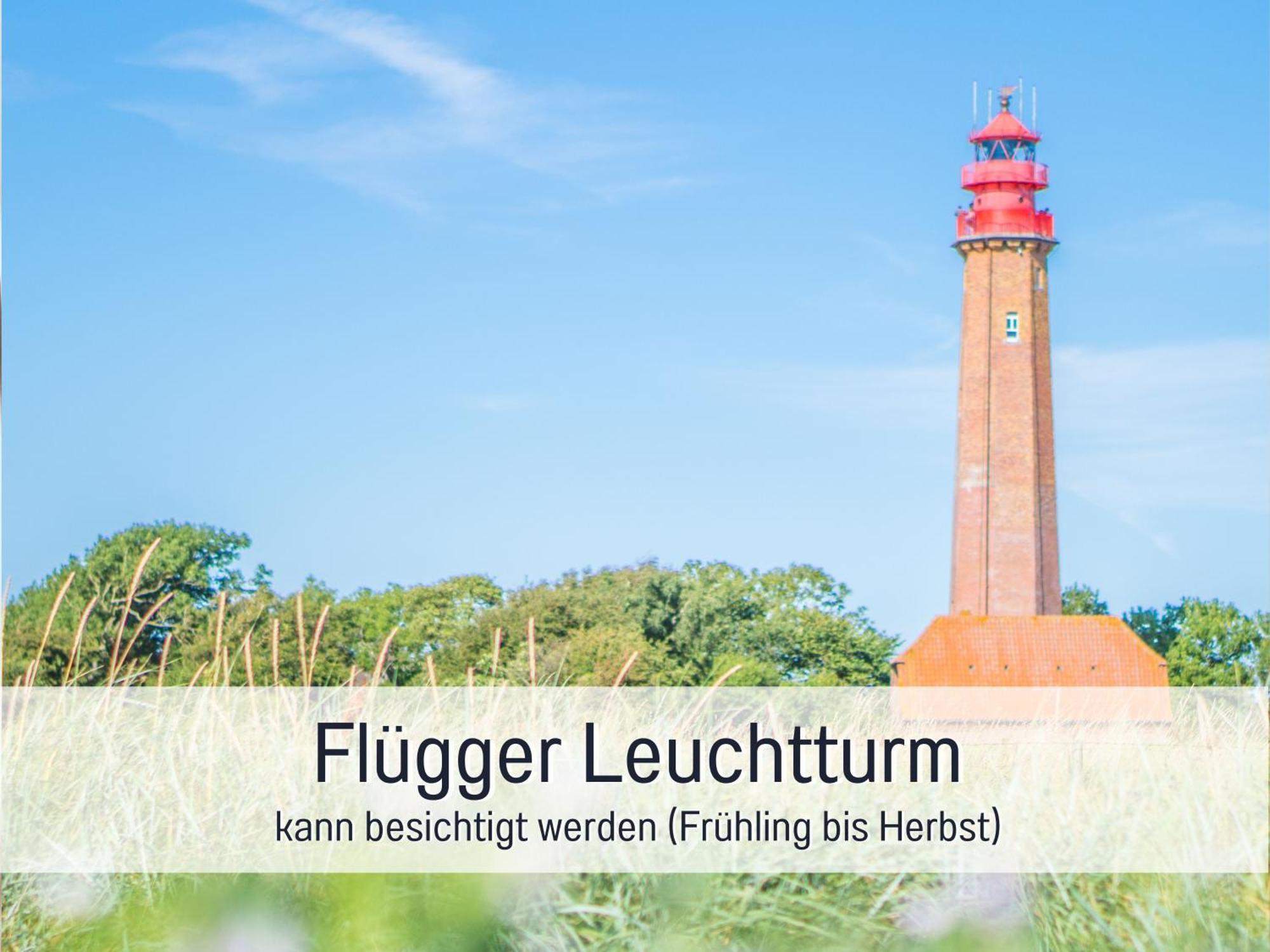 Bio Ferienhof Wichtelweide - Ferienhaus Lichtblick Fehmarn Zewnętrze zdjęcie