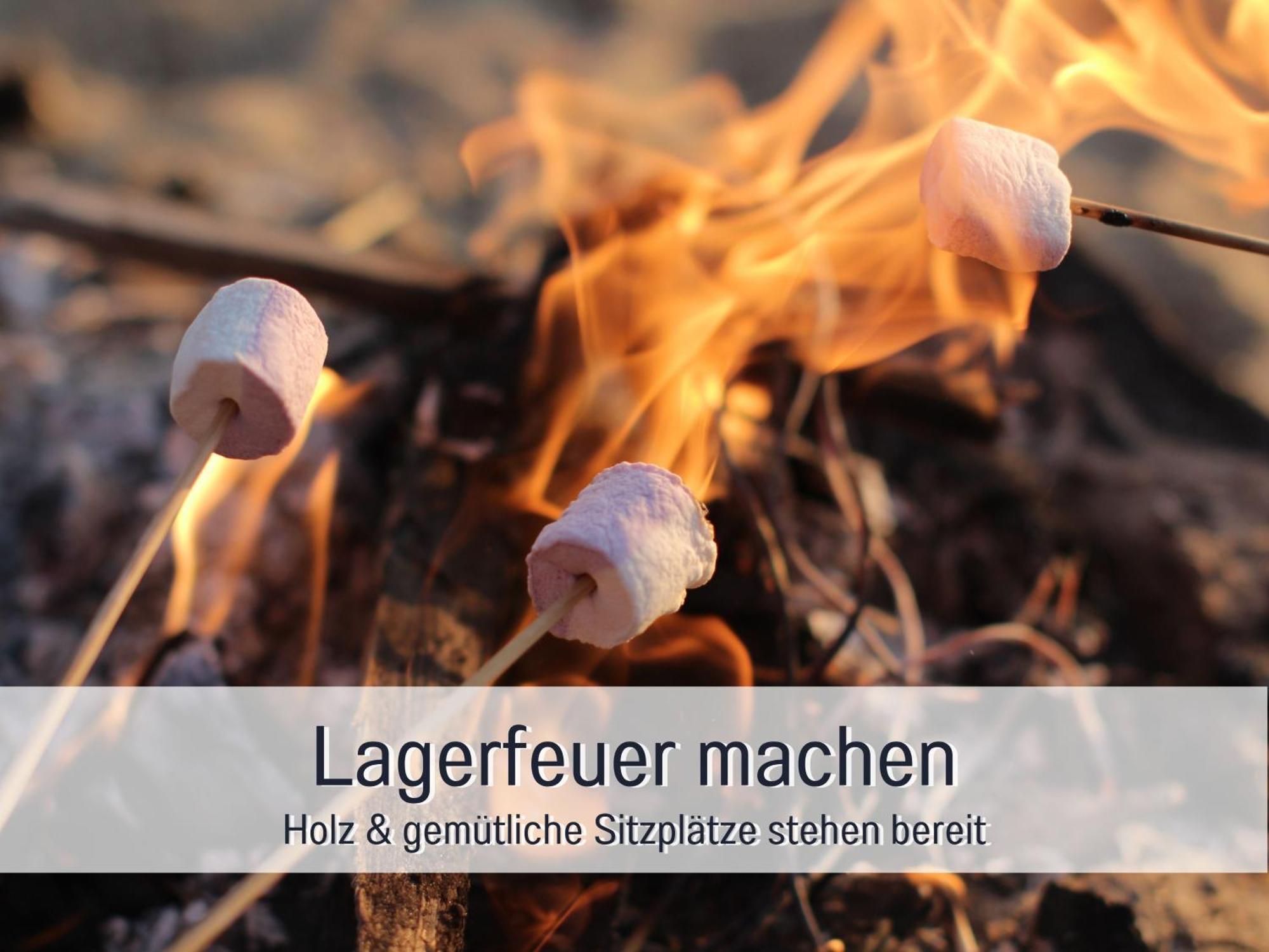 Bio Ferienhof Wichtelweide - Ferienhaus Lichtblick Fehmarn Zewnętrze zdjęcie